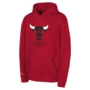 Mitchell & Ness Chicago Bulls Toddler Red Refined Retro Logo Pullover Hoodie Customizable! Personalize this great jersey.
