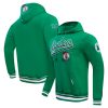 Pro Standard Boston Celtics Kelly Green Script Prime Tail Pullover Hoodie Gift idea! Surprise a sports fan with this amazing jersey.