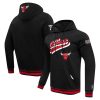Pro Standard Chicago Bulls Black Script Tail Striking Pullover Hoodie Hurry! Exclusive offer. Get your hands on this outstanding jersey right away.