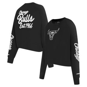 Pro Standard Chicago Bulls Women's Black Paint The Premium City Cropped Pullover Sweatshirt For a short time only! Don't miss out on this fantastic jersey.
